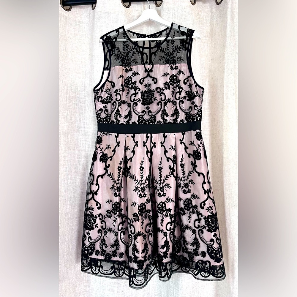 Elegant Danny & Nicole lace overlay dress